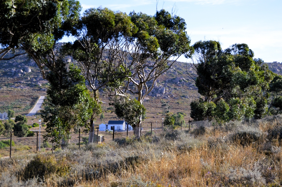 0 Bedroom Property for Sale in Britannica Heights Western Cape